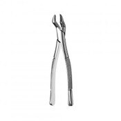 Forceps 10S