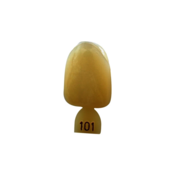 Directa Temp Poly Crowns Translucent #101 5/Pk