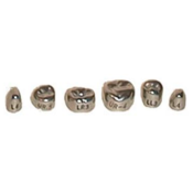 Evolve Stainless Steel Primary Molar Crowns 1st Upper Right-5 Box Of 5