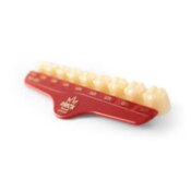 Directa Temp Poly Crowns Molar Translucent U2L 3/Pk