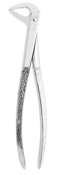 Extracting Forcep #74 English