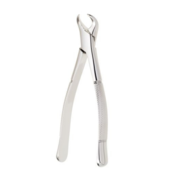 Forceps Cowhorn #16 Straight Handle