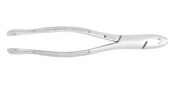 Extracting Forcep #201