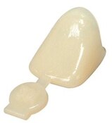 Polycarbonate Crowns # 31 5/Bx