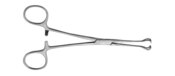Babcock Tissue Forcep 6.25''