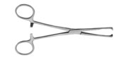 Allis Tissue Forcep 6'' 5X6