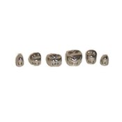 Evolve Stainless Steel Primary Molar Crowns 1st Lower Left-5 Box Of 5