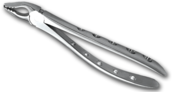 Extracting Forcep Upper Universal PX327