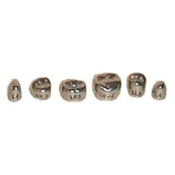 Evolve Stainless Steel Primary Molar Crowns 1st Lower Right-6 Box Of 5