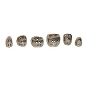 Evolve Stainless Steel Primary Molar Crowns 1st Lower Left-4 Box Of 5