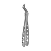 Forceps Plus Series Upper Root