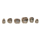 Evolve Stainless Steel Primary Molar Crowns 1st Lower Right-2 Box Of 5