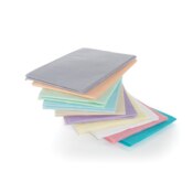 Advantage Bibs 2-Ply 13x18 500/Case Silver Grey