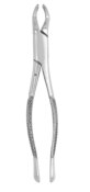 Extracting Forcep #210S