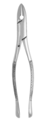 Extracting Forcep #1 Standard