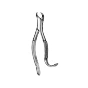 Forceps Pedo #16S