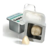 3M Protemp Crown Temporization Material, 50612, Molar Lower, Large, 5 Crowns